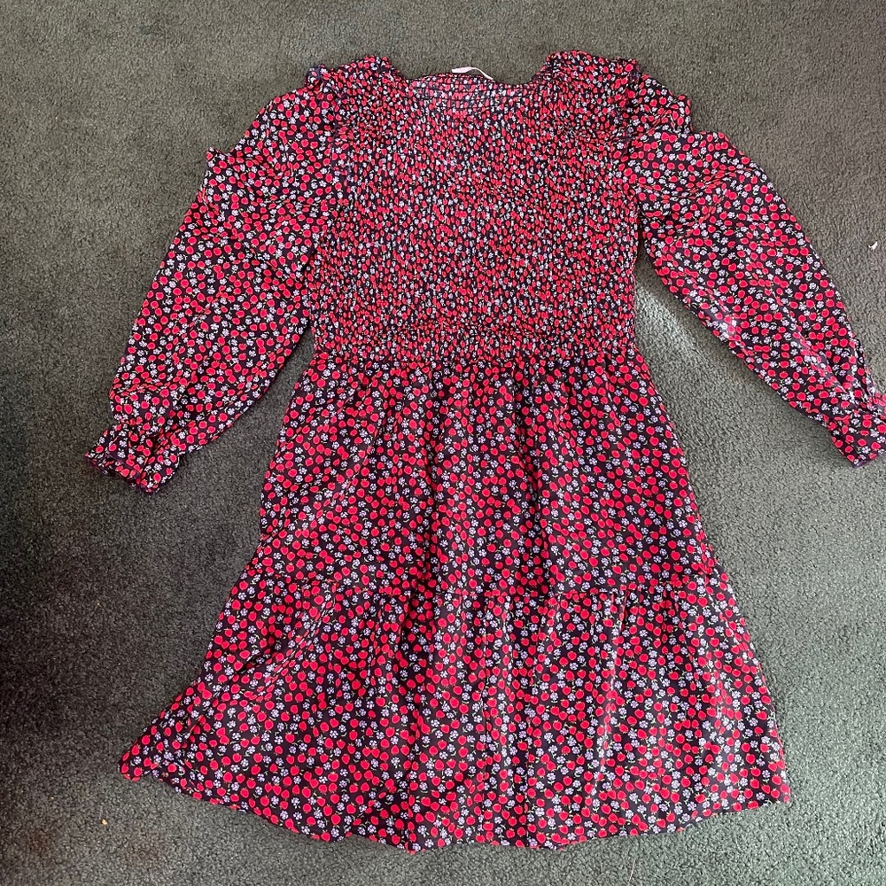 Red & Blue Floral Dress